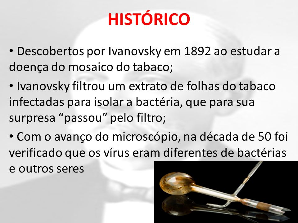 HISTÓRICO Descobertos por Ivanovsky em 1892 ao estudar a doença do mosaico do tabaco;