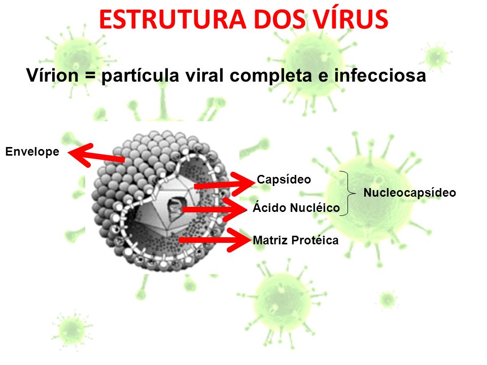 ESTRUTURA DOS VÍRUS Vírion = partícula viral completa e infecciosa