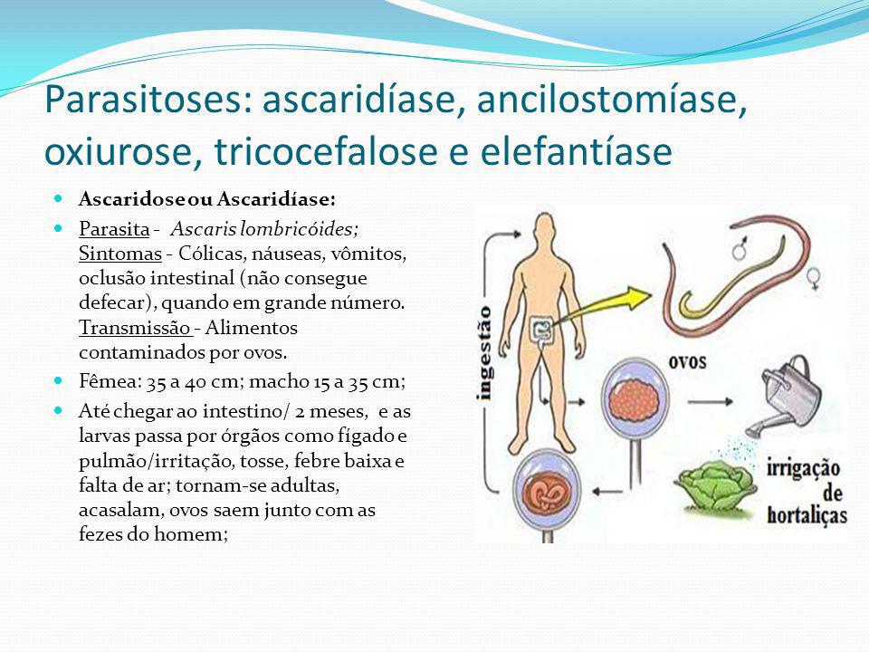 Parasitoses: ascaridíase, ancilostomíase, oxiurose, tricocefalose e elefantíase