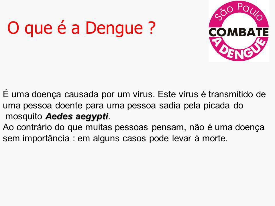 O que é a Dengue