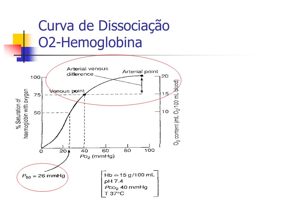 Curva de Dissociação O2-Hemoglobina