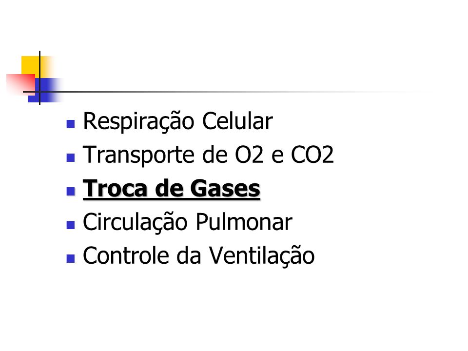 Respiração Celular Transporte de O2 e CO2 Troca de Gases Circulação Pulmonar Controle da Ventilação