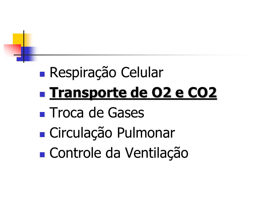 Respiração Celular Transporte de O2 e CO2 Troca de Gases Circulação Pulmonar Controle da Ventilação