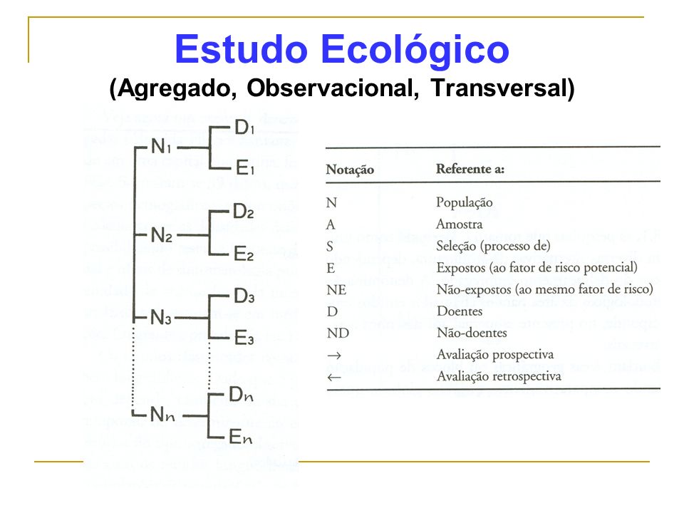 Estudo Ecológico (Agregado, Observacional, Transversal)
