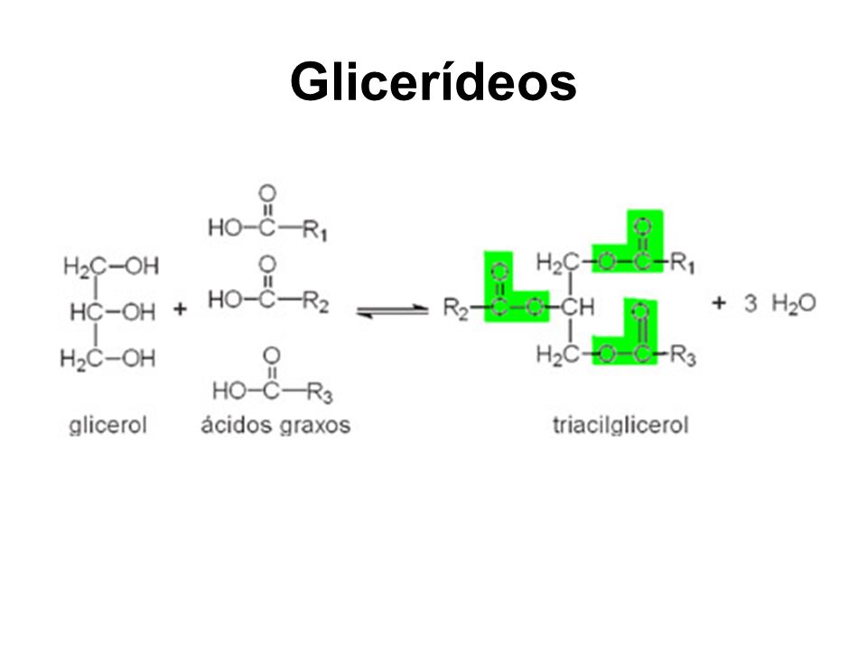 Glicerídeos
