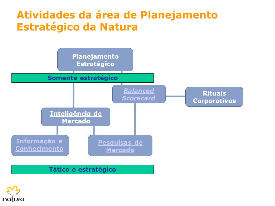 Atividades da área de Planejamento Estratégico da Natura