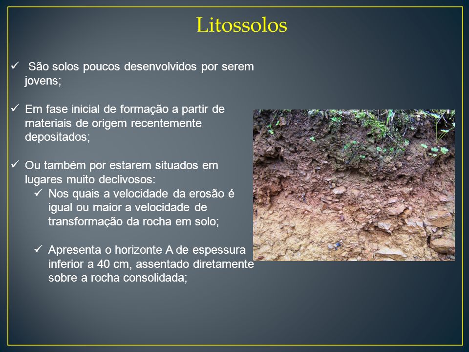 Litossolos São solos poucos desenvolvidos por serem jovens;