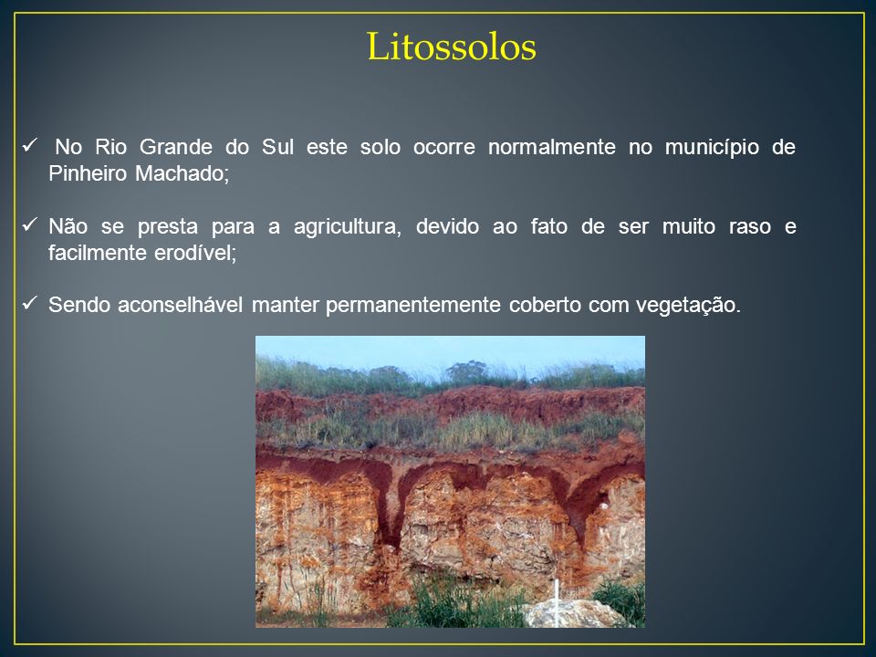 Litossolos No Rio Grande do Sul este solo ocorre normalmente no município de Pinheiro Machado;