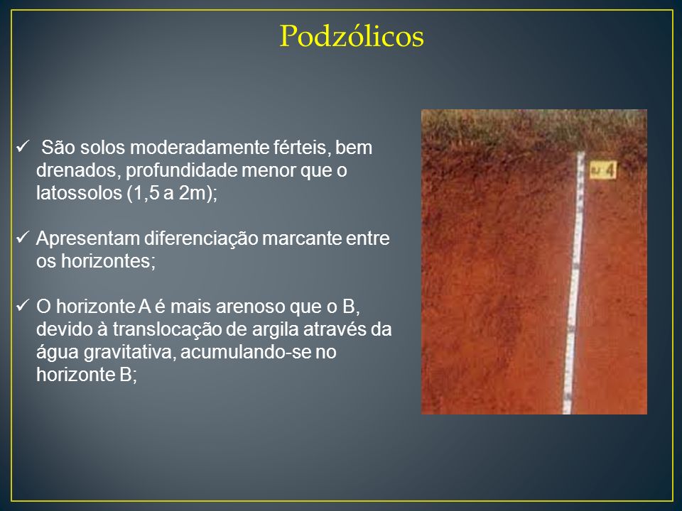 Podzólicos São solos moderadamente férteis, bem drenados, profundidade menor que o latossolos (1,5 a 2m);