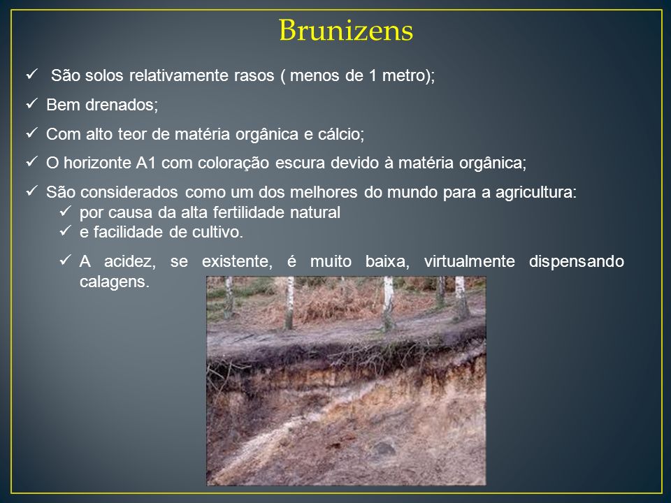 Brunizens São solos relativamente rasos ( menos de 1 metro);