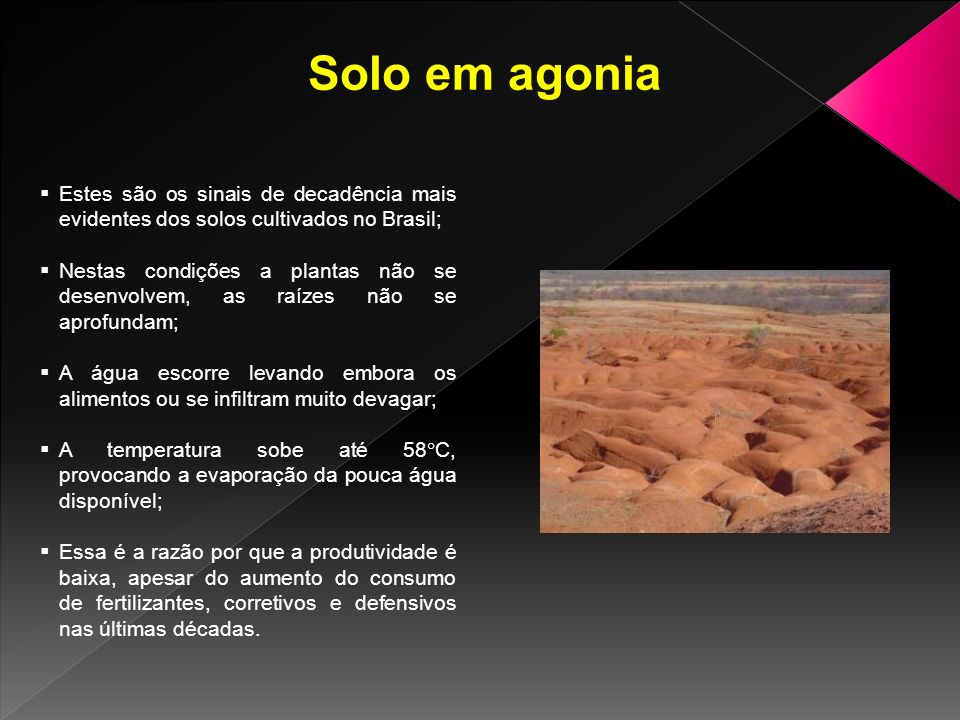 Solo em agonia Estes são os sinais de decadência mais evidentes dos solos cultivados no Brasil;