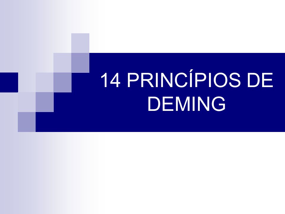 14 PRINCÍPIOS DE DEMING