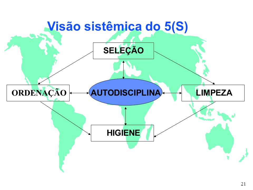 Visão sistêmica do 5(S) ORDENAÇÃO SELEÇÃO LIMPEZA HIGIENE