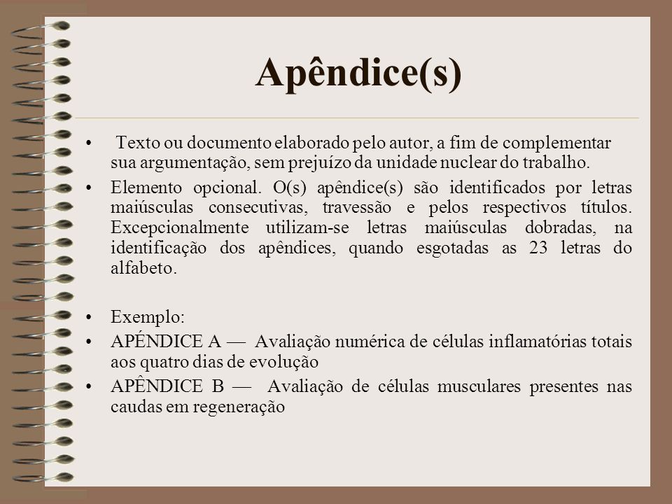Apêndice(s) Texto ou documento elaborado pelo autor, a fim de complementar sua argumentação, sem prejuízo da unidade nuclear do trabalho.