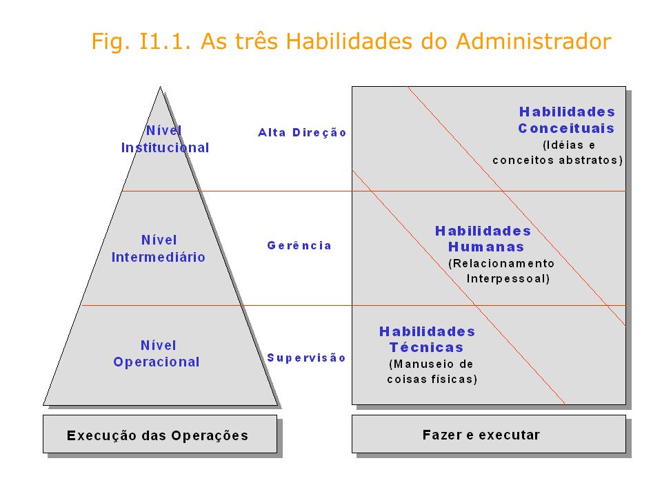 Fig. I1.1. As três Habilidades do Administrador