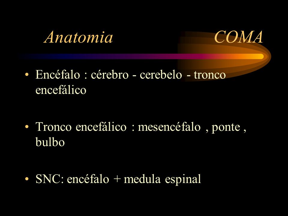 Anatomia COMA Encéfalo : cérebro - cerebelo - tronco encefálico