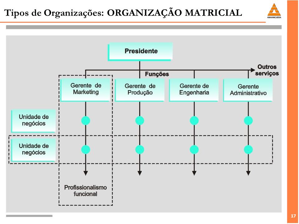 Tipos de Organizações: ORGANIZAÇÃO MATRICIAL