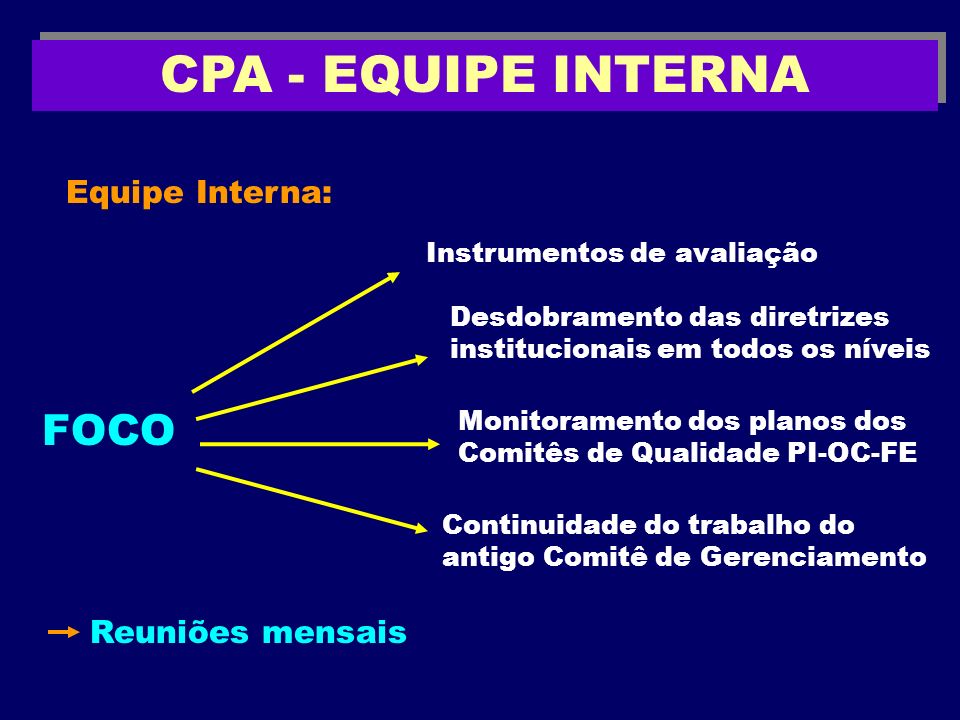 CPA - EQUIPE INTERNA FOCO Equipe Interna: Reuniões mensais