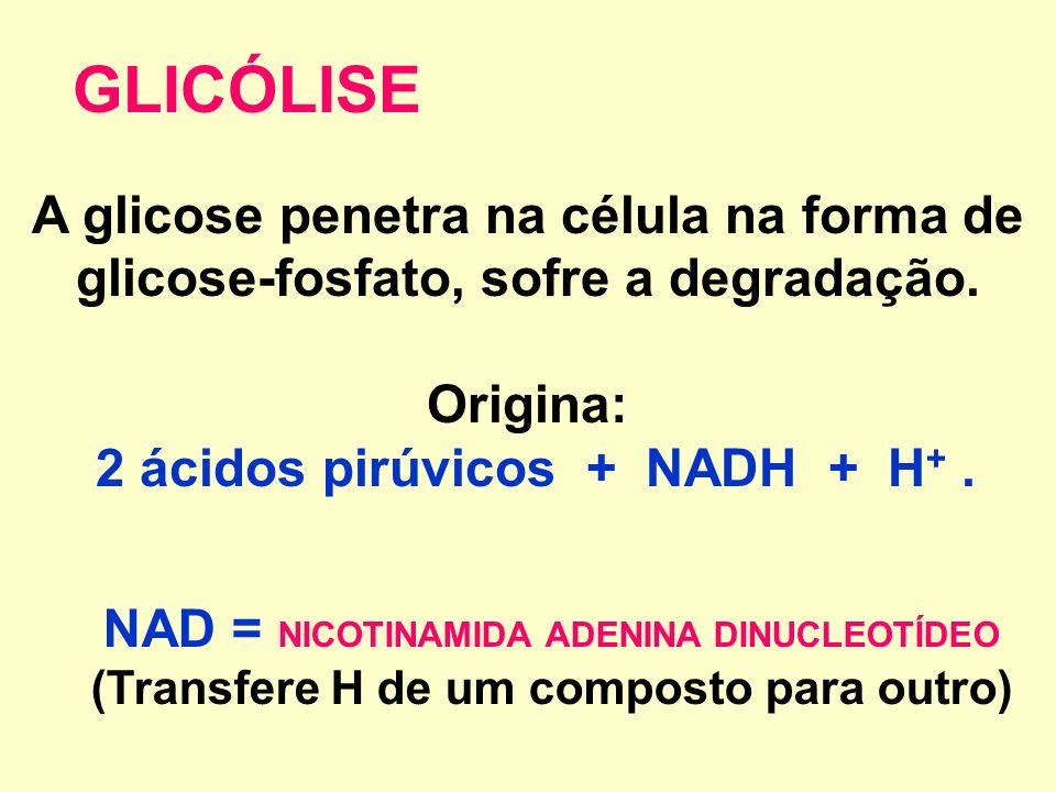 GLICÓLISE A glicose penetra na célula na forma de glicose-fosfato, sofre a degradação. Origina: 2 ácidos pirúvicos + NADH + H+ .