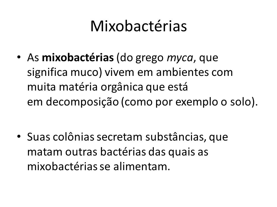 Mixobactérias
