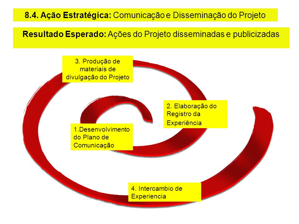 8.4. Ação Estratégica: Comunicação e Disseminação do Projeto