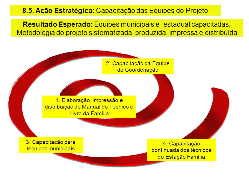 8.5. Ação Estratégica: Capacitação das Equipes do Projeto