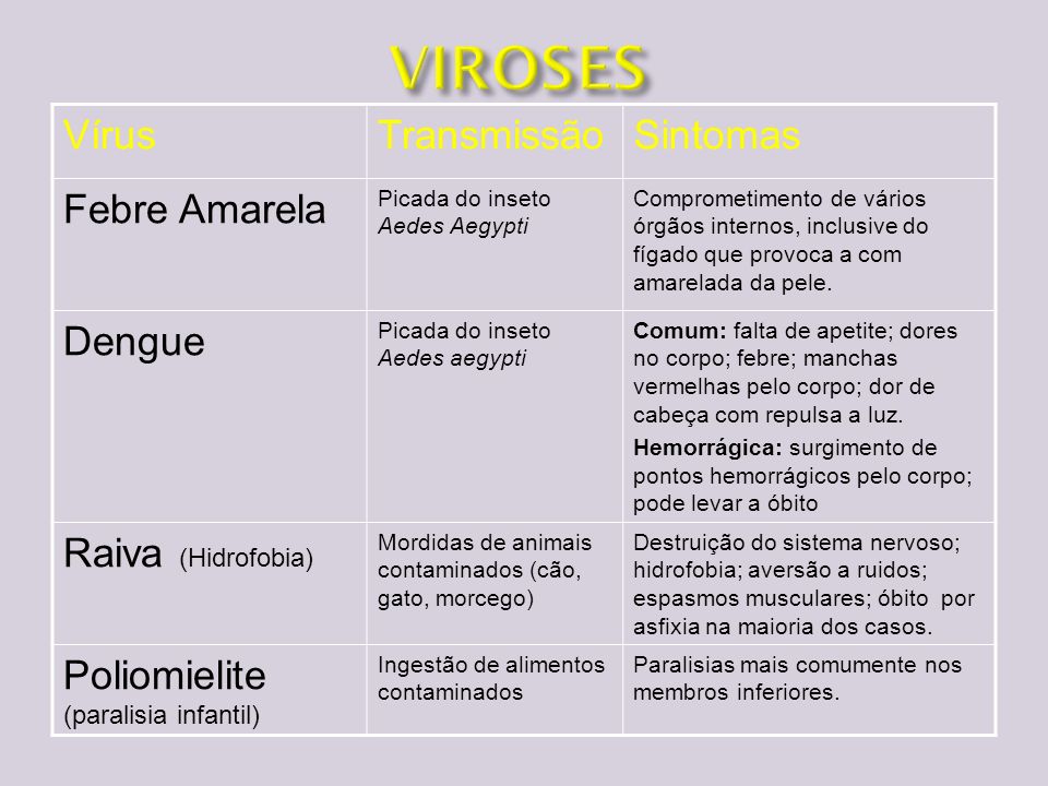 VIROSES Vírus Transmissão Sintomas Febre Amarela Dengue