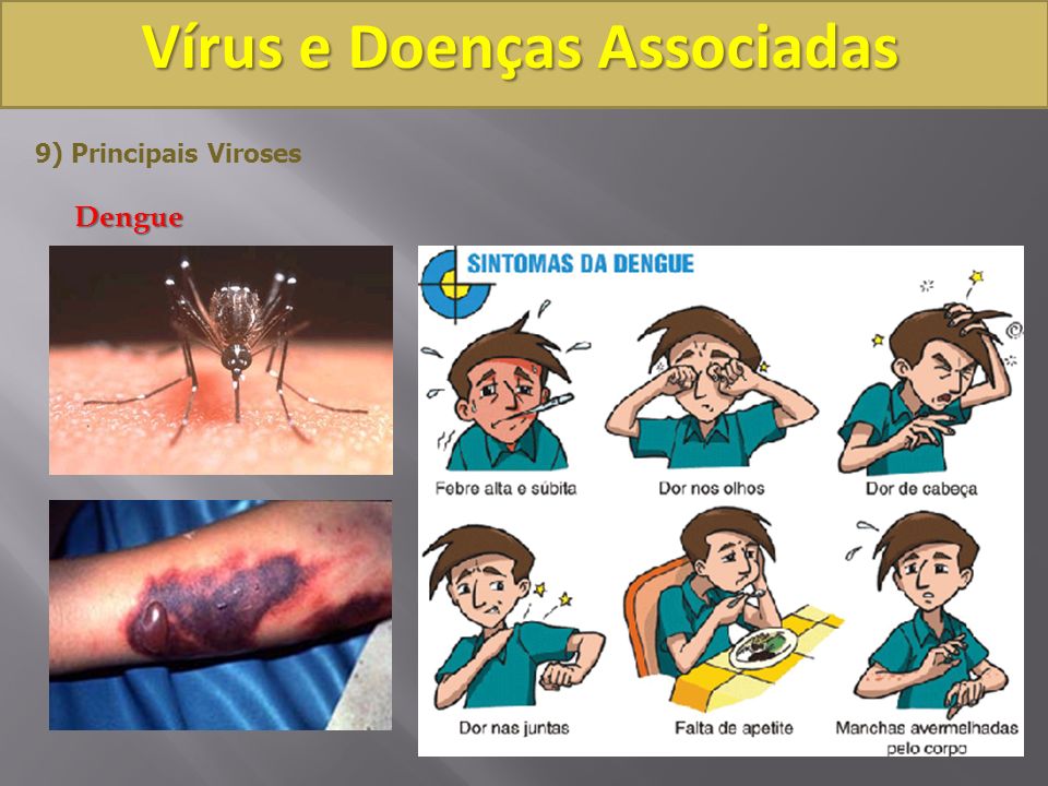 Vírus e Doenças Associadas