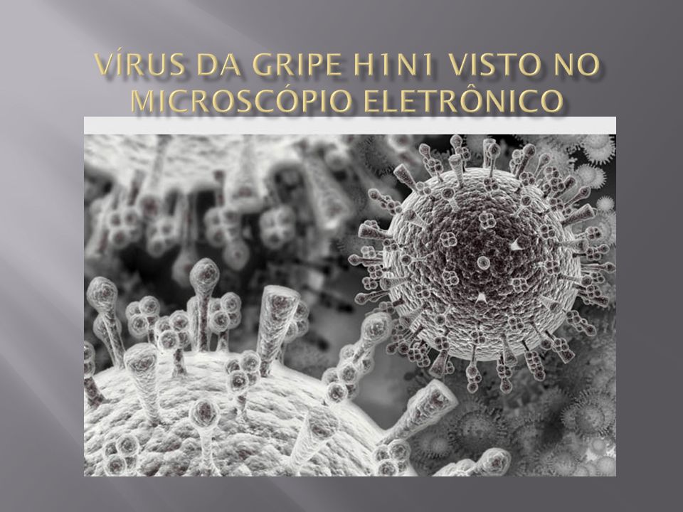 Vírus da gripe H1N1 visto no microscópio eletrônico
