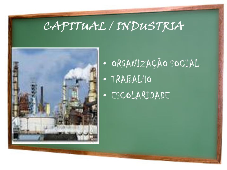 CAPITUAL / INDUSTRIA ORGANIZAÇÃO SOCIAL TRABALHO ESCOLARIDADE