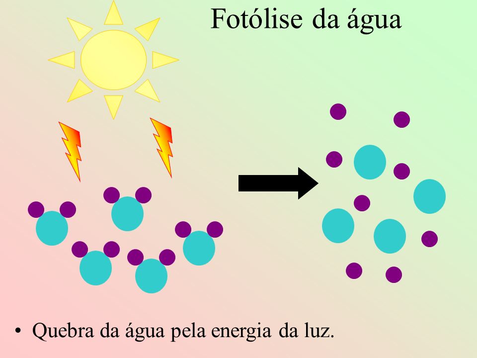 Fotólise da água Quebra da água pela energia da luz.