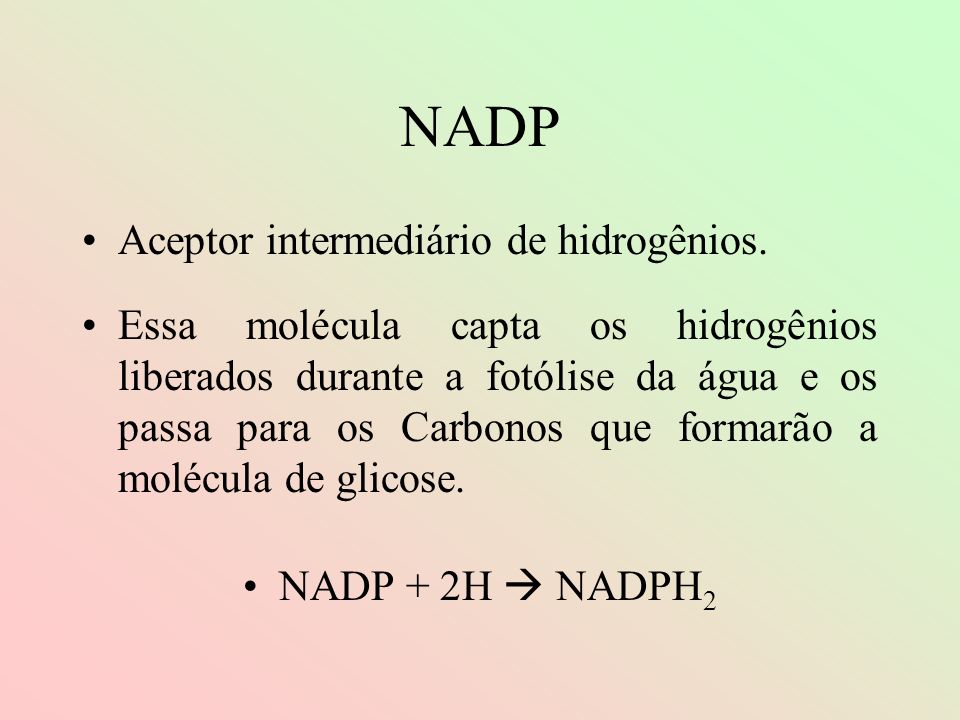 NADP Aceptor intermediário de hidrogênios.