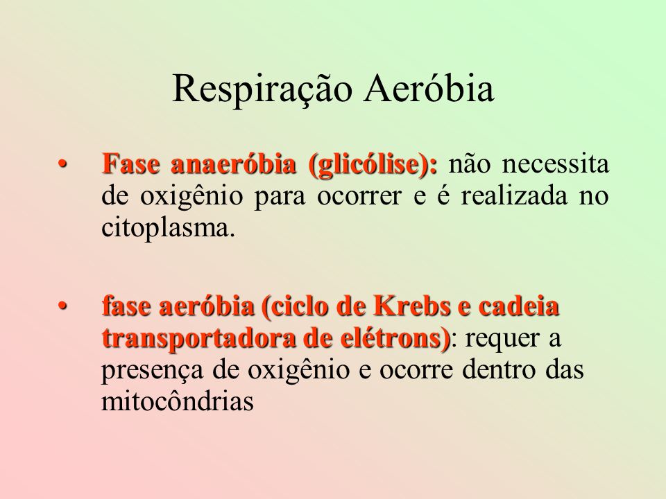 Respiração Aeróbia Fase anaeróbia (glicólise): não necessita de oxigênio para ocorrer e é realizada no citoplasma.