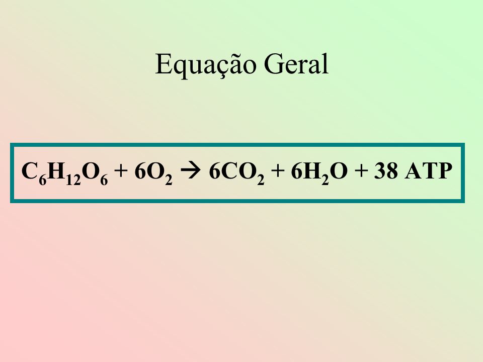 Equação Geral C6H12O6 + 6O2  6CO2 + 6H2O + 38 ATP