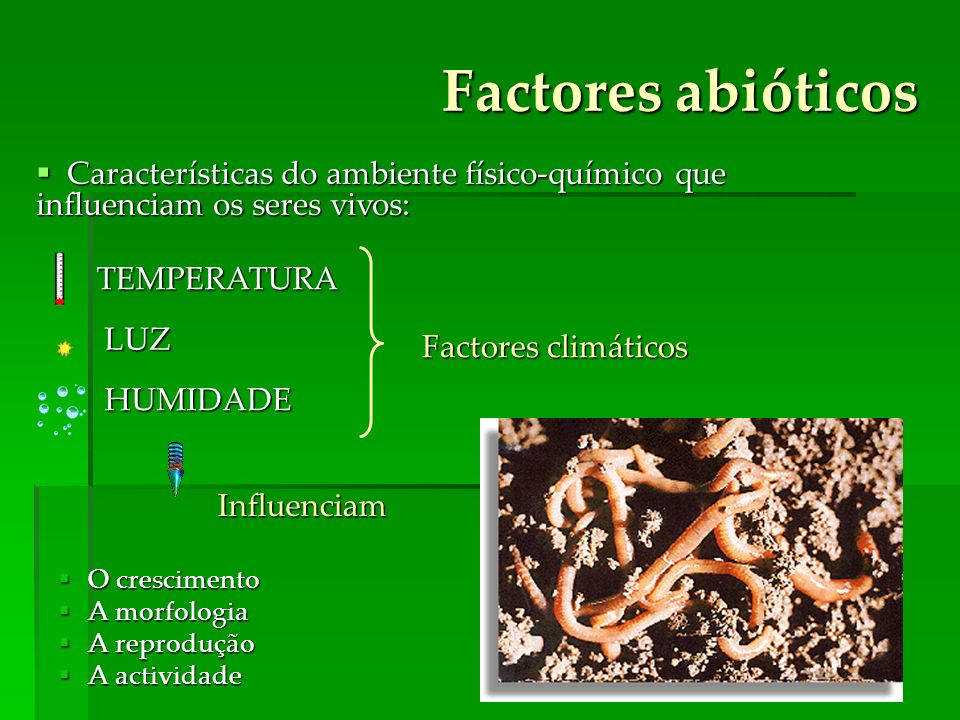Factores abióticos Características do ambiente físico-químico que influenciam os seres vivos: TEMPERATURA.