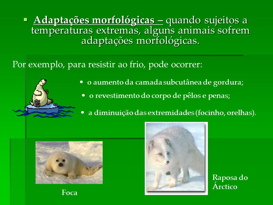 Adaptações morfológicas – quando sujeitos a temperaturas extremas, alguns animais sofrem adaptações morfológicas.