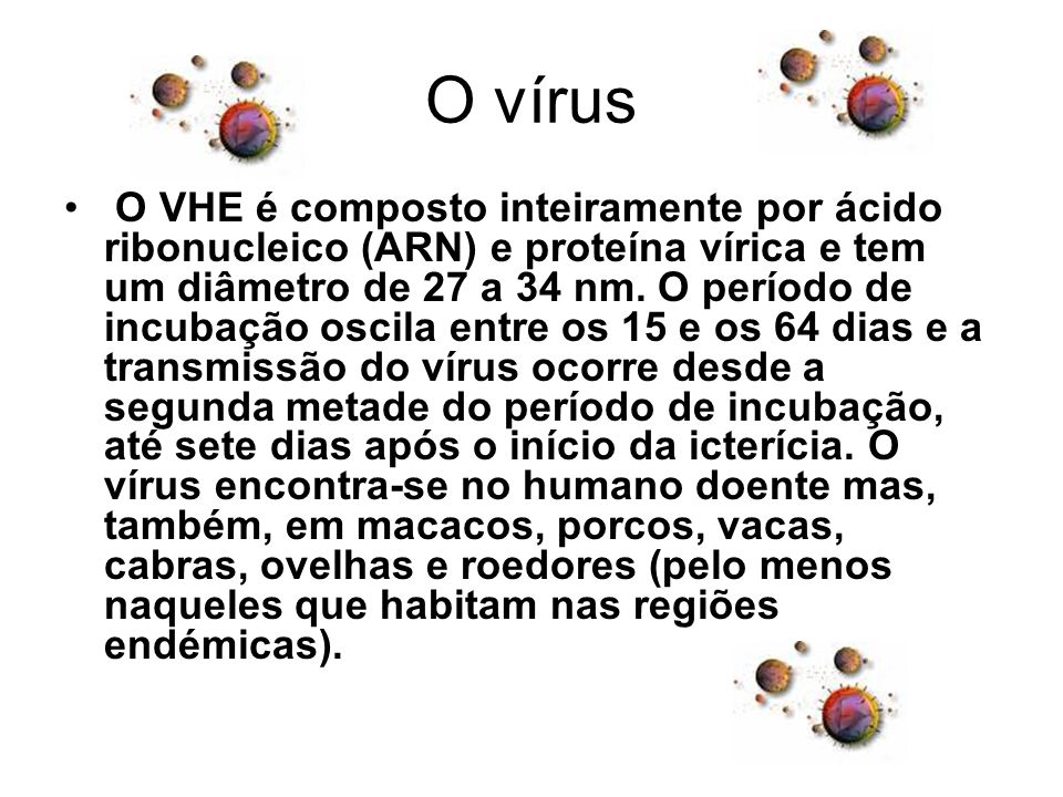 O vírus