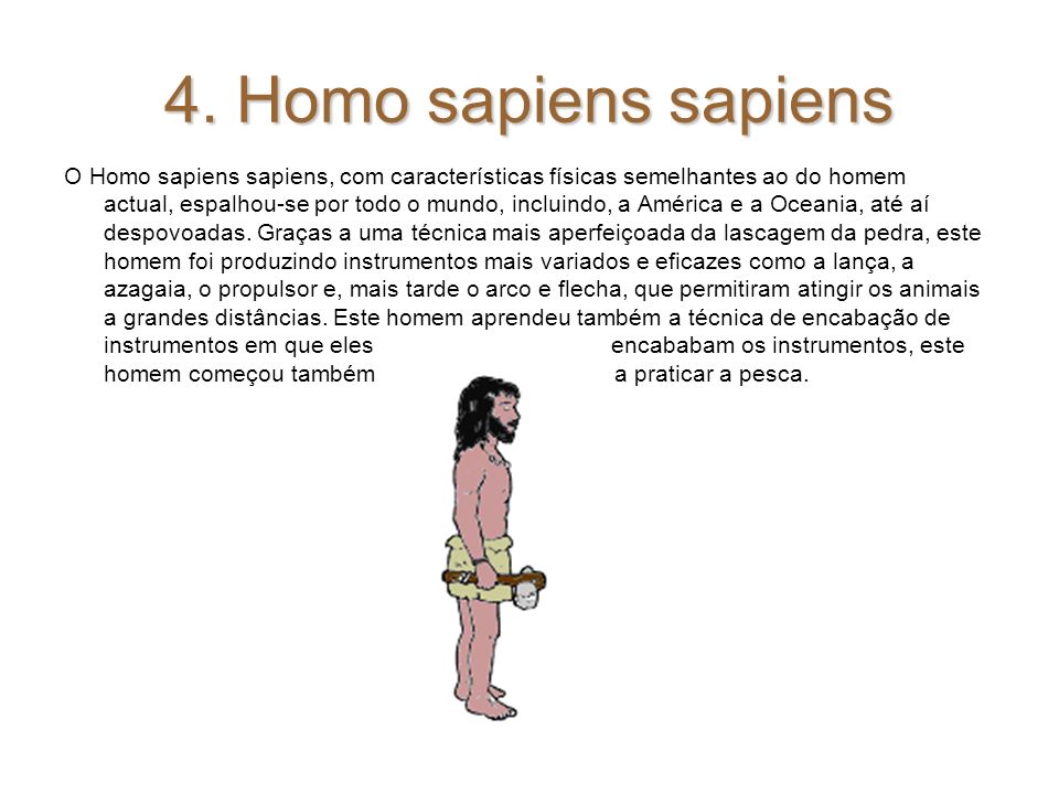 4. Homo sapiens sapiens