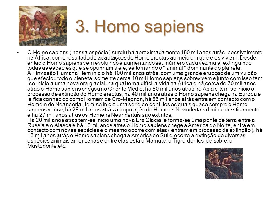 3. Homo sapiens