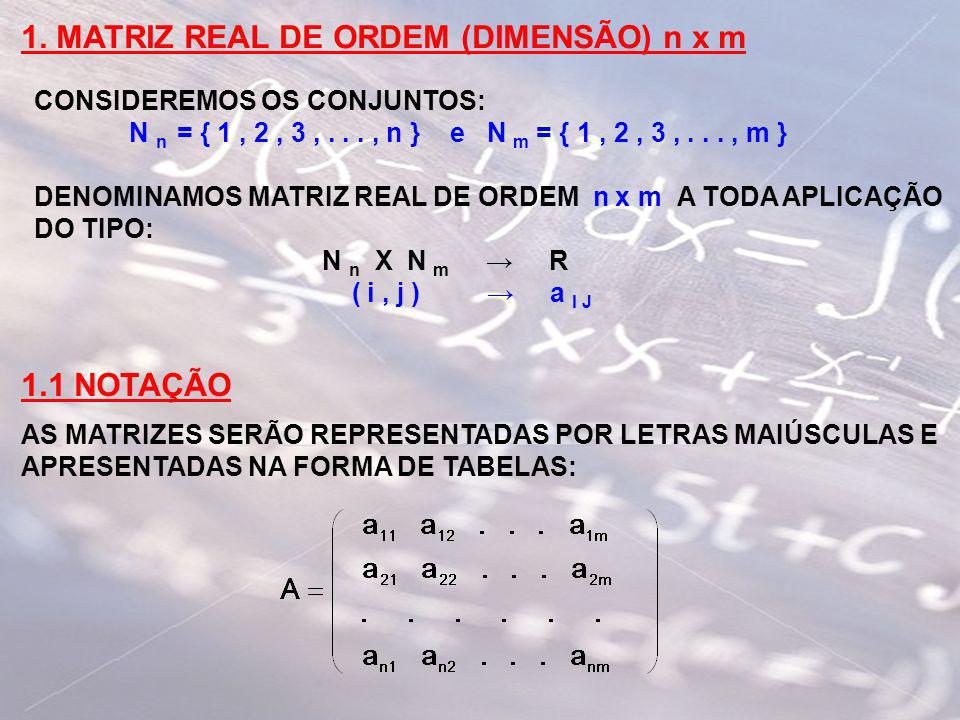 1. MATRIZ REAL DE ORDEM (DIMENSÃO) n x m