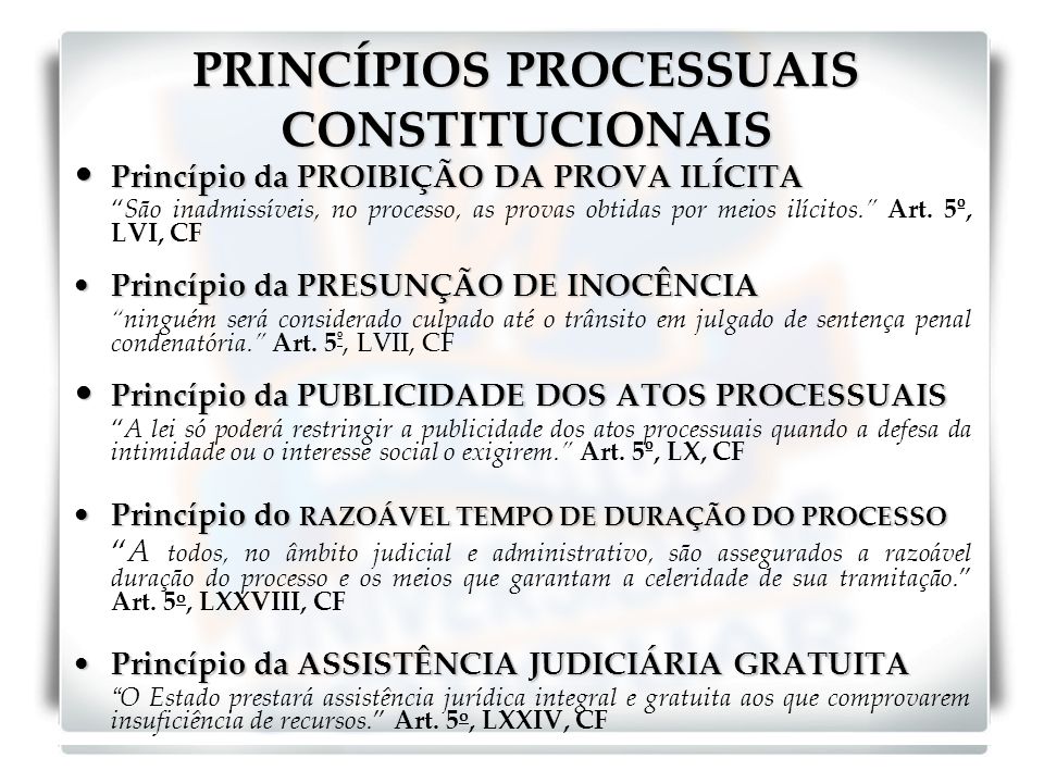PRINCÍPIOS PROCESSUAIS CONSTITUCIONAIS