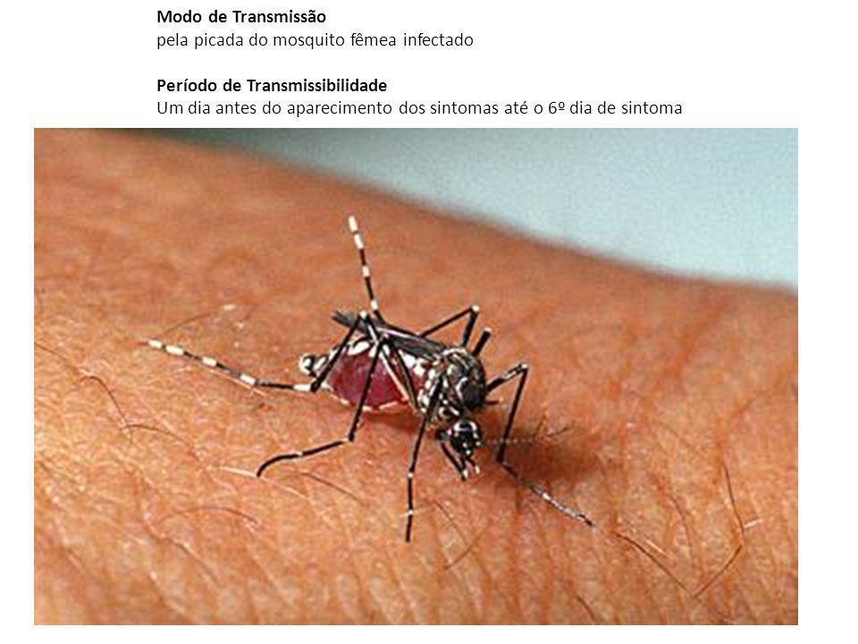 Modo de Transmissão pela picada do mosquito fêmea infectado. Período de Transmissibilidade.