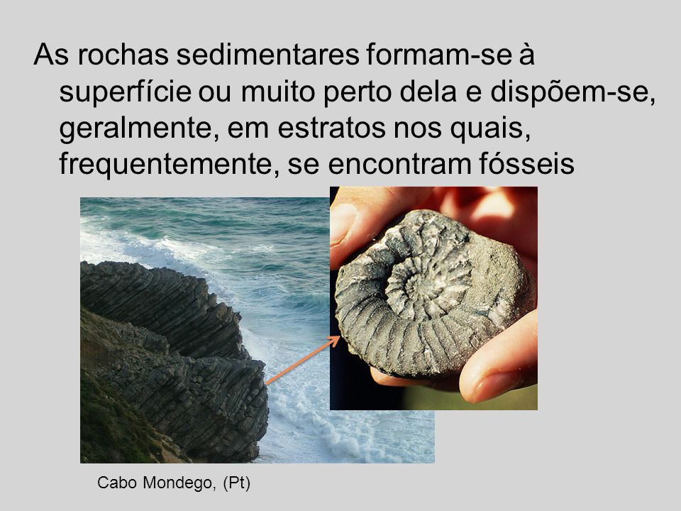 As rochas sedimentares formam-se à superfície ou muito perto dela e dispõem-se, geralmente, em estratos nos quais, frequentemente, se encontram fósseis