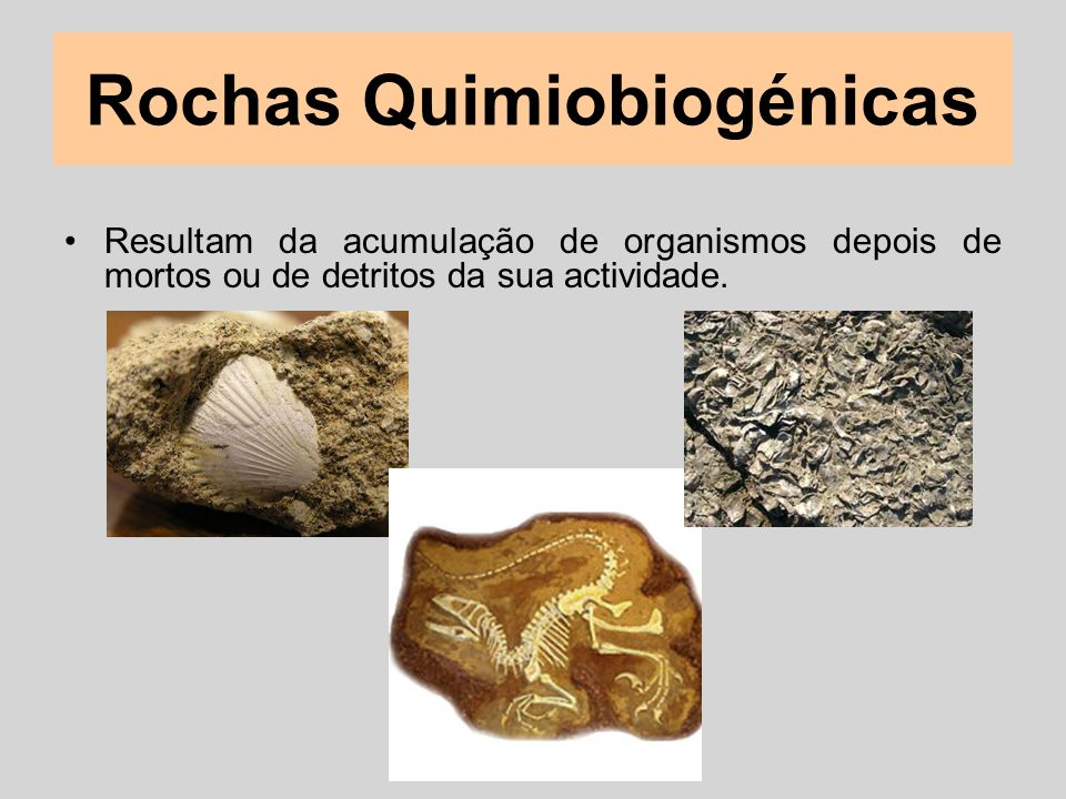 Rochas Quimiobiogénicas