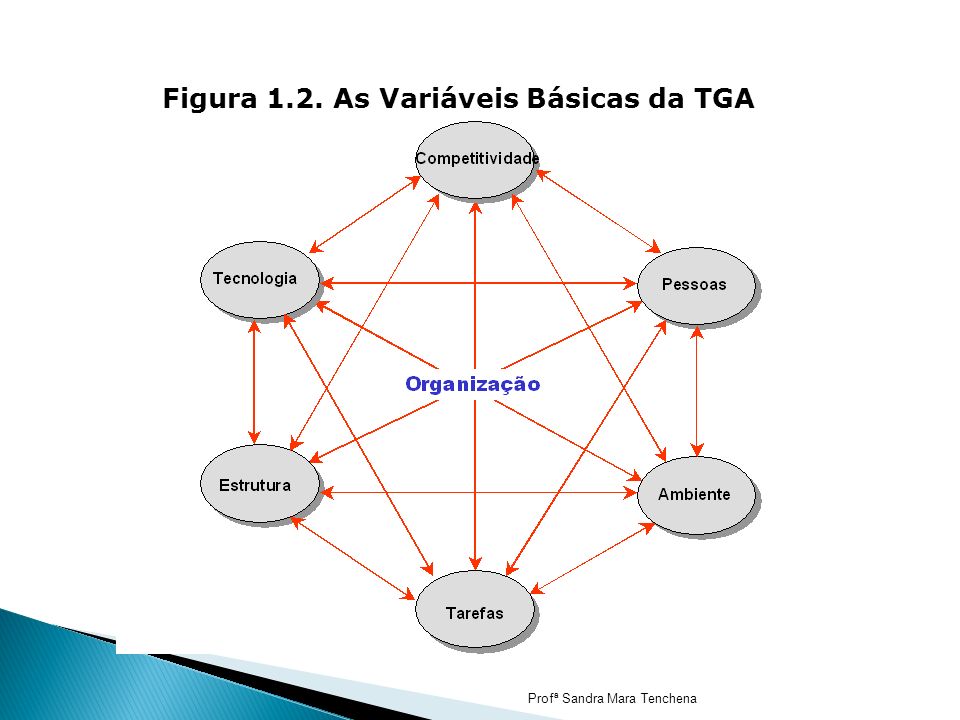 Figura 1.2. As Variáveis Básicas da TGA