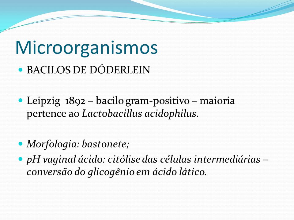 Microorganismos BACILOS DE DÓDERLEIN