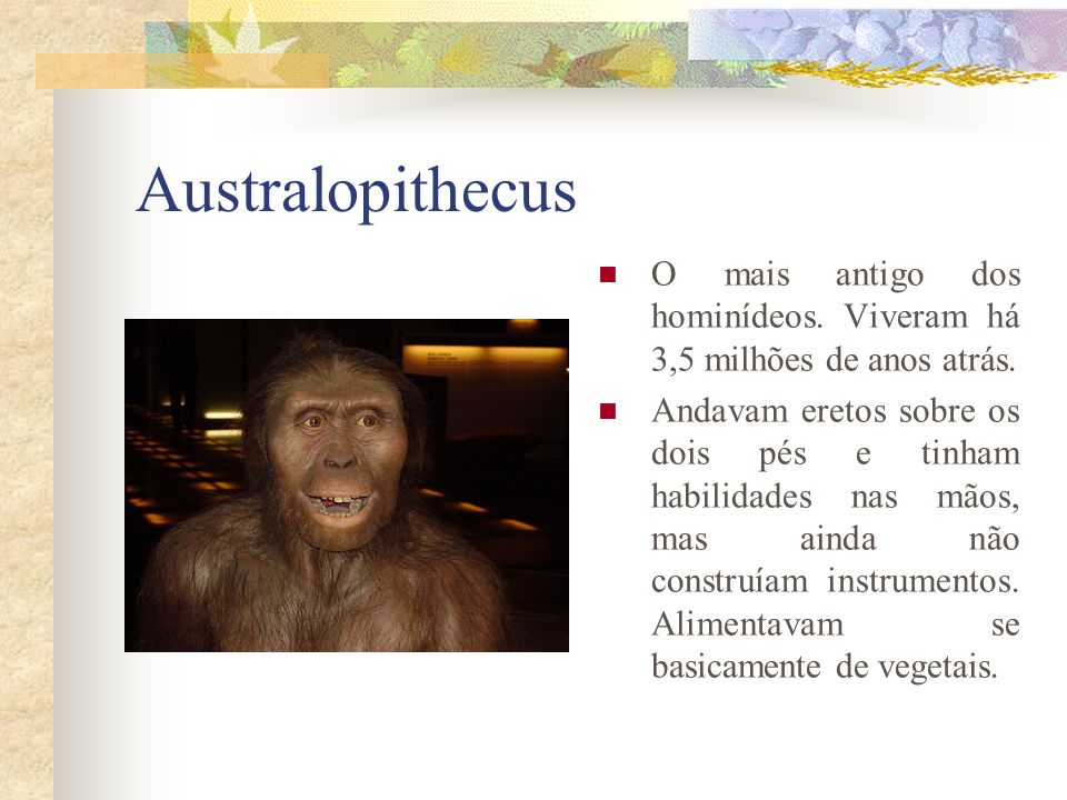Australopithecus O mais antigo dos hominídeos. Viveram há 3,5 milhões de anos atrás.