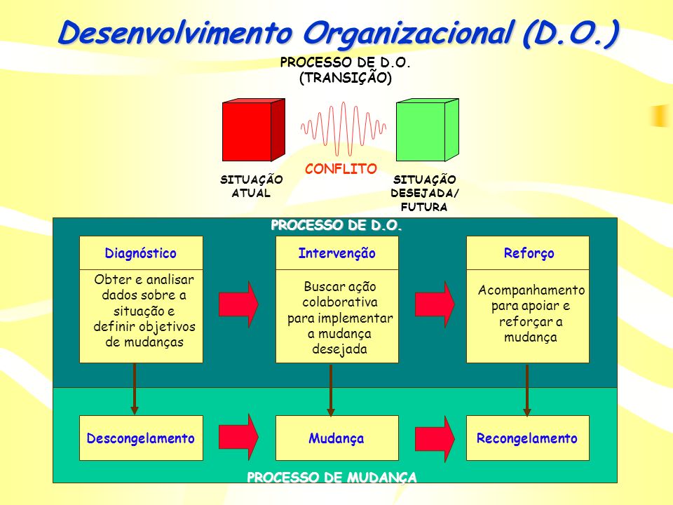Desenvolvimento Organizacional (D.O.)
