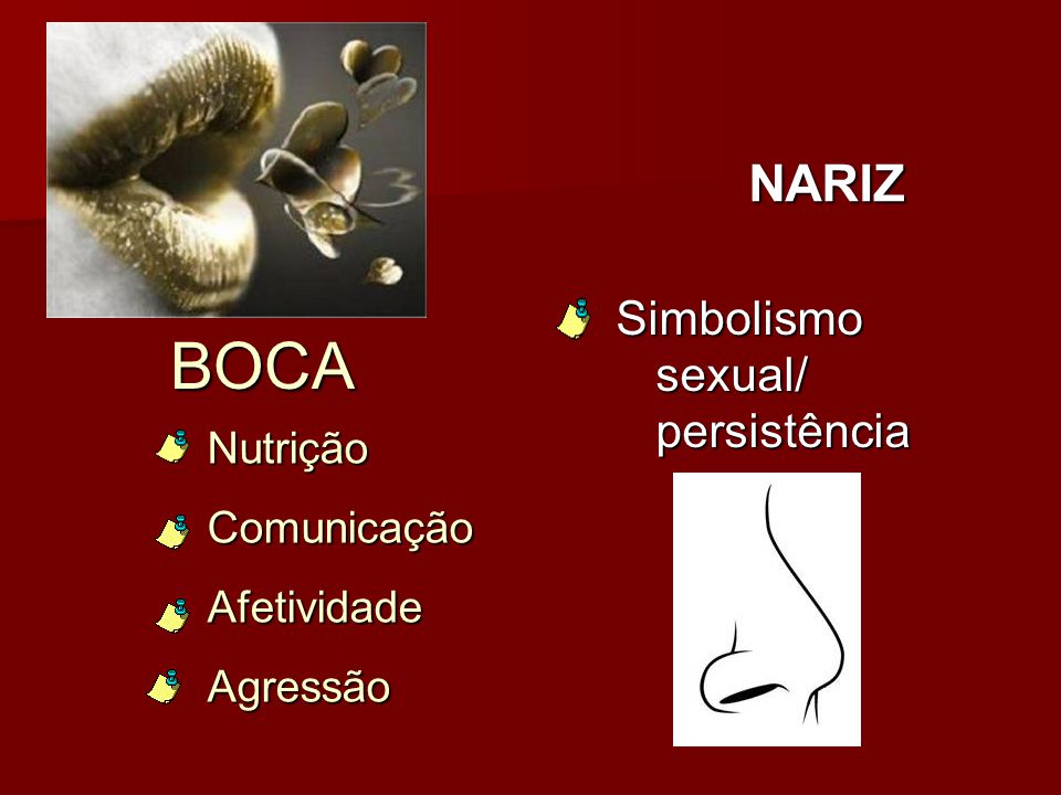 BOCA NARIZ Simbolismo sexual/ persistência Nutrição Comunicação