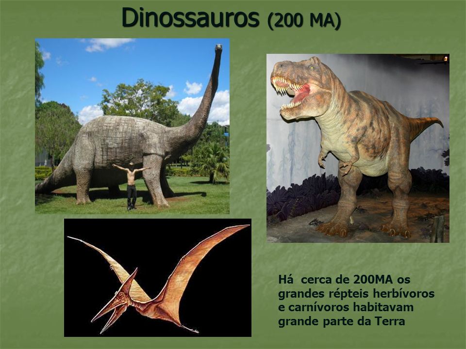 Dinossauros (200 MA) Há cerca de 200MA os grandes répteis herbívoros e carnívoros habitavam grande parte da Terra.